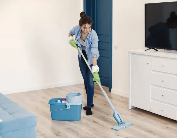 Femme de ménage Gensac